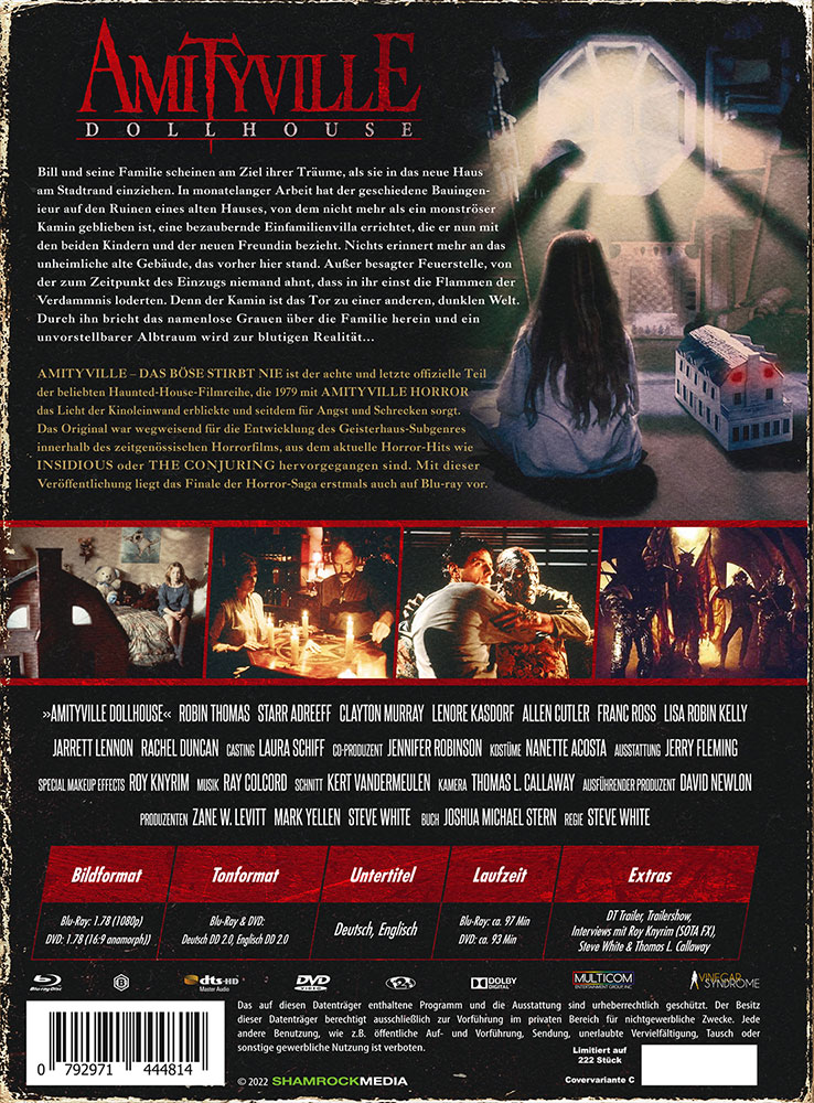 Amityville - Das Böse stirbt nie - Cover C -Mediabook (Blu-Ray+DVD) - Limited 222 Edition
