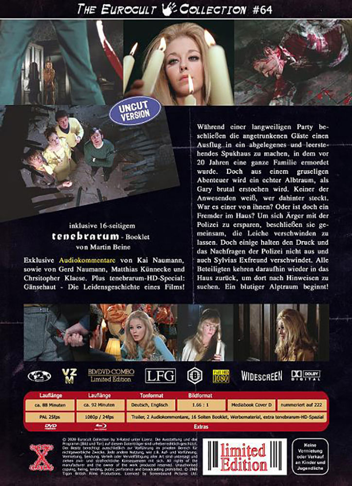 Gänsehaut - The Haunted House Of Horror (Blu-Ray+DVD) - Cover D - Mediabook - Limited 222 Edition