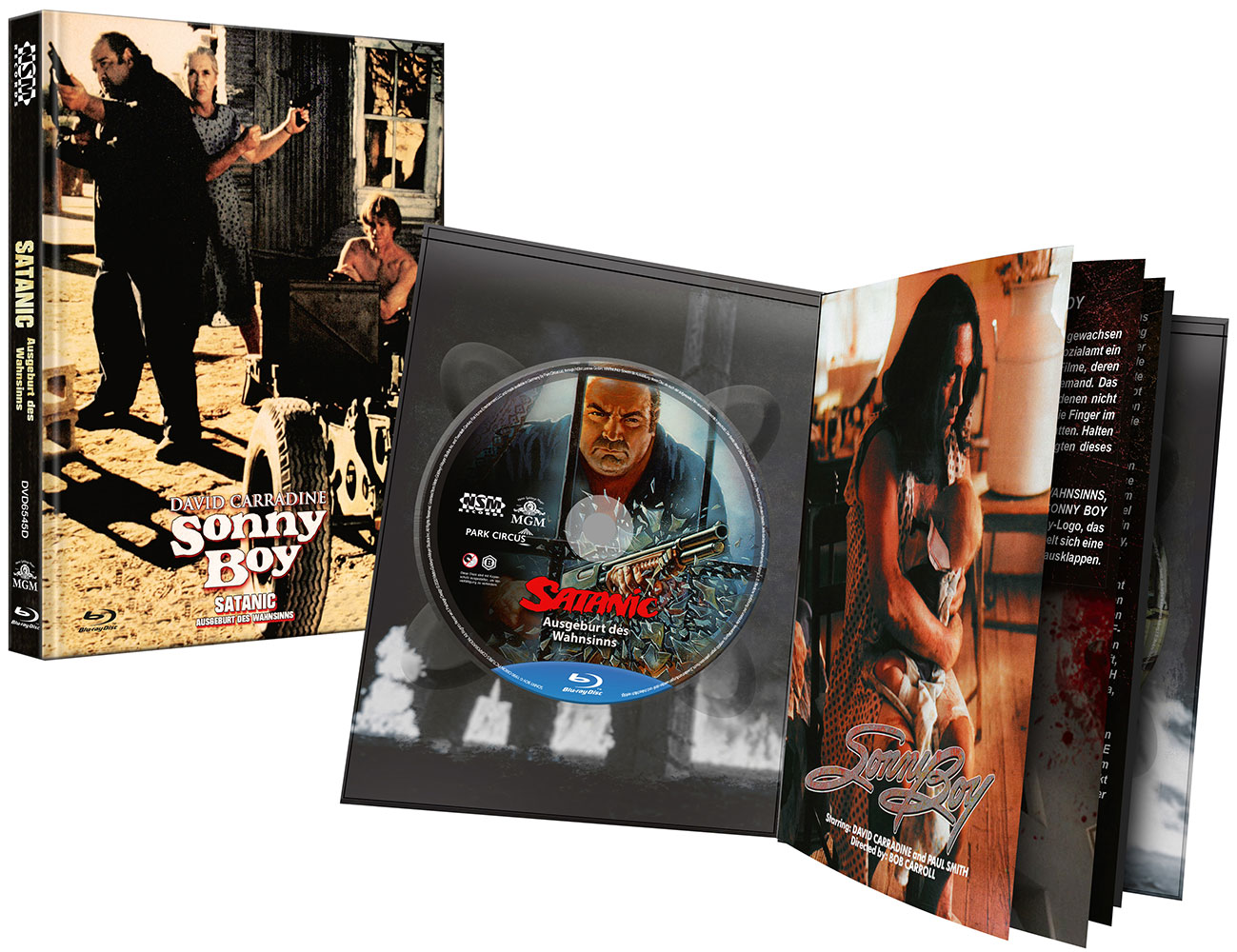 Satanic - Ausgeburt des Wahnsinns (Blu-Ray+DVD) - Cover D - Mediabook - Limited 111 Edition - Uncut