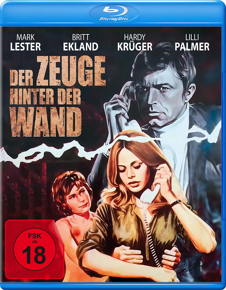 Der Zeuge hinter der Wand (Diabolisch) (Blu-Ray)