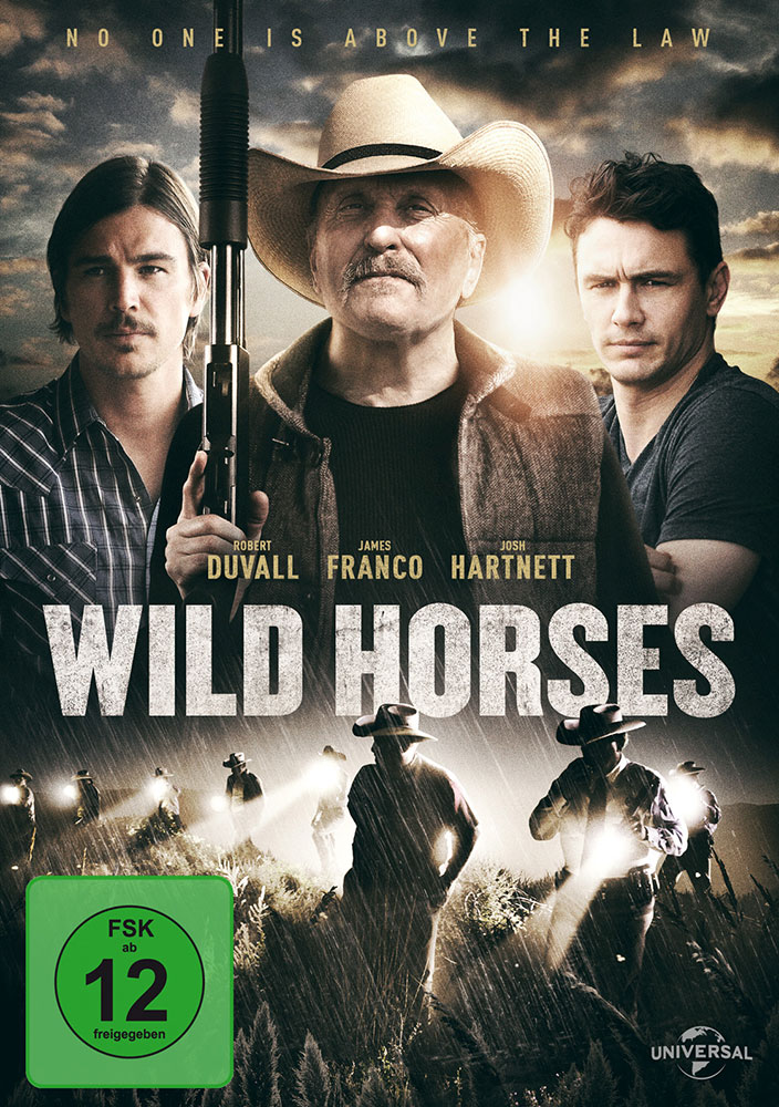 Wild Horses Wild Horses