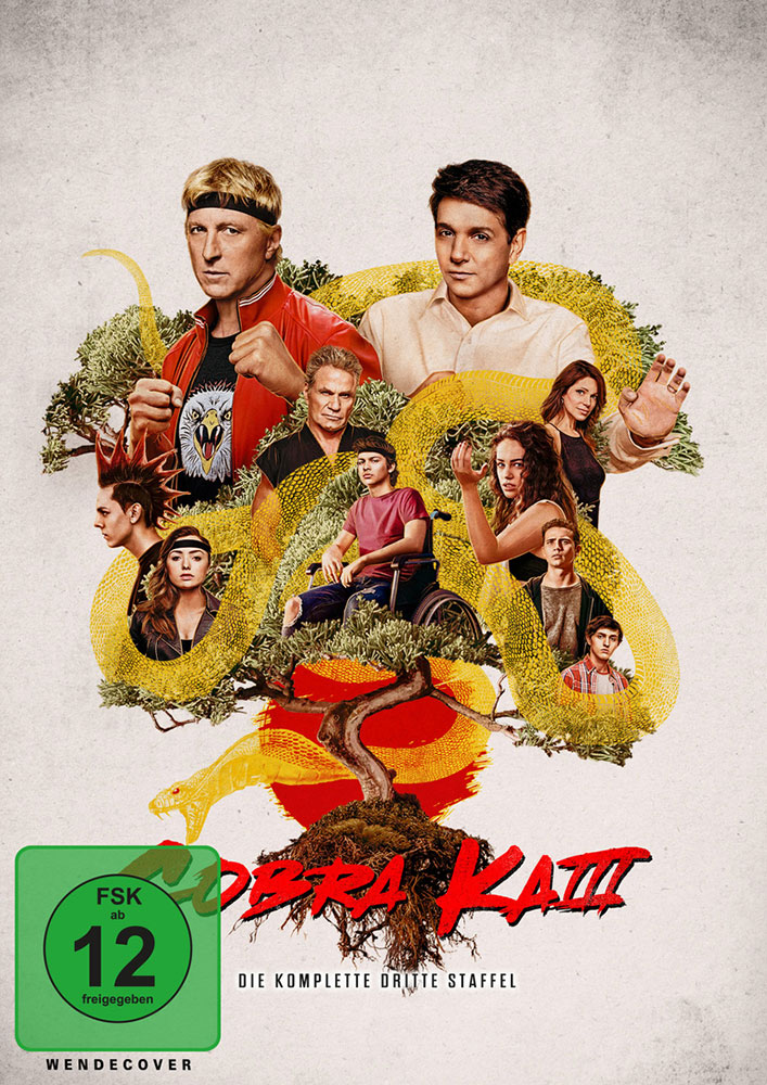 Cobra Kai - Season 3 (2DVD)