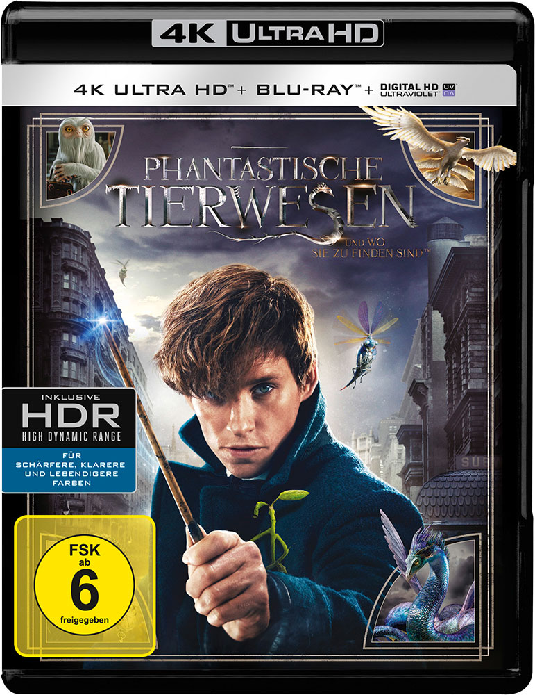 Phantastische Tierwesen und wo sie zu finden sind (4K UHD+Blu-Ray)