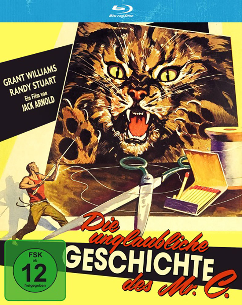 Die unglaubliche Geschichte des Mr. C (Blu-Ray)