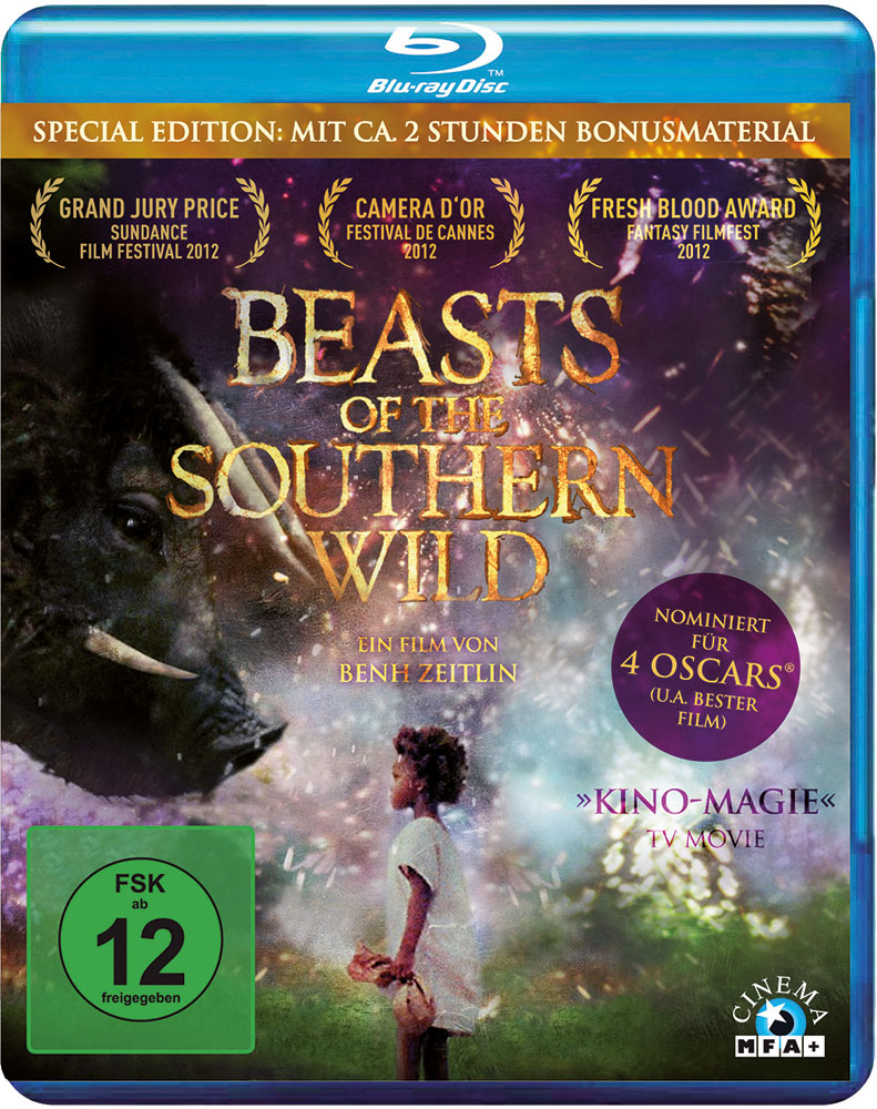 Beasts Of The Southern Wild (Blu-Ray)