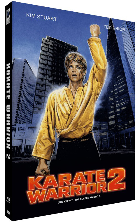 Karate Warrior 2 (Blu-Ray) - große Hartbox - Limited 33 Edition