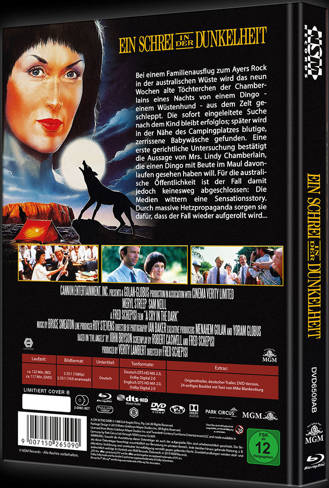 Ein Schrei in der Dunkelheit - Cover B - Mediabook (Blu-Ray+DVD) - Limited 111 Edition
